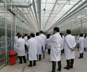 永通科技亮相京津冀，共探蔬菜工廠化生產新路徑