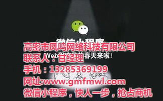 高密網(wǎng)絡(luò)公司專業(yè)推廣與鳳鳴網(wǎng)絡(luò)技術(shù)深度解析 高清視覺營銷賦能旅游開發(fā)項(xiàng)目策劃